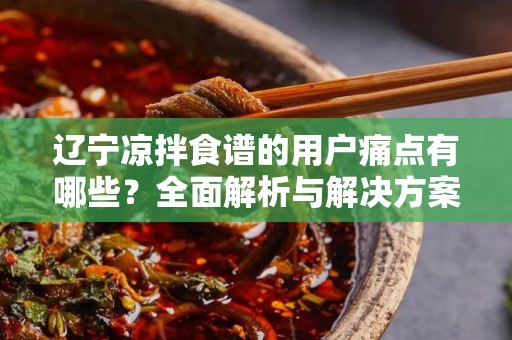 辽宁凉拌食谱的用户痛点有哪些？全面解析与解决方案