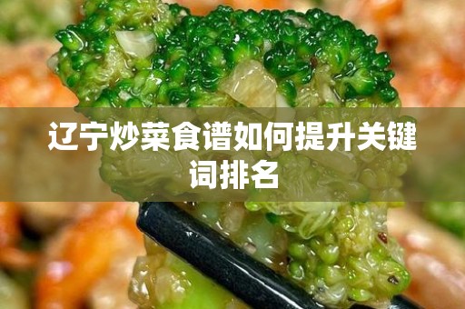 辽宁炒菜食谱如何提升关键词排名