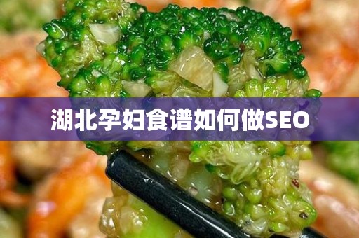 湖北孕妇食谱如何做SEO