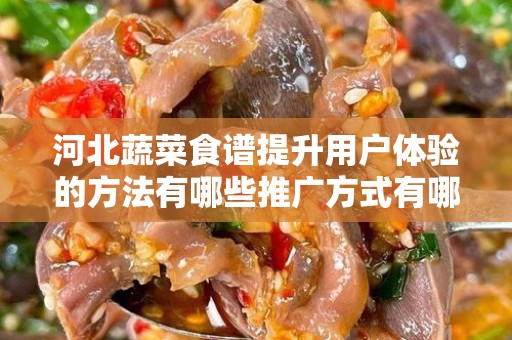 河北蔬菜食谱提升用户体验的方法有哪些推广方式有哪些