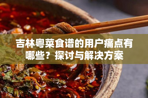 吉林粤菜食谱的用户痛点有哪些？探讨与解决方案