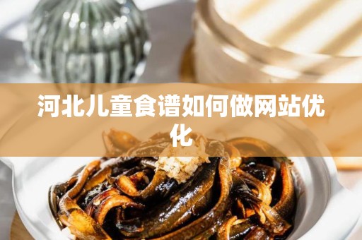 河北儿童食谱如何做网站优化