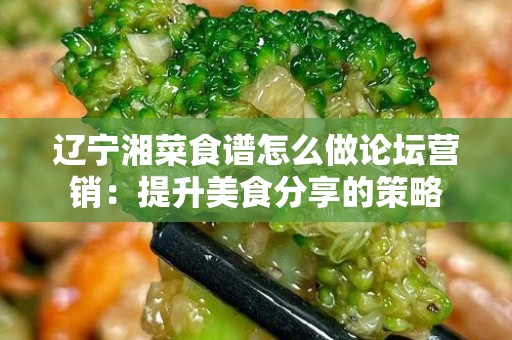 辽宁湘菜食谱怎么做论坛营销：提升美食分享的策略