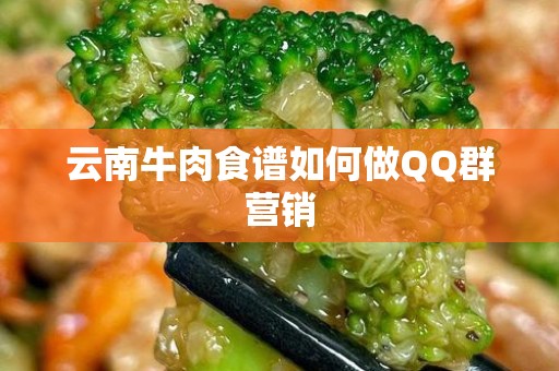 云南牛肉食谱如何做QQ群营销