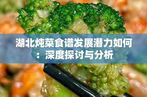 湖北炖菜食谱发展潜力如何：深度探讨与分析