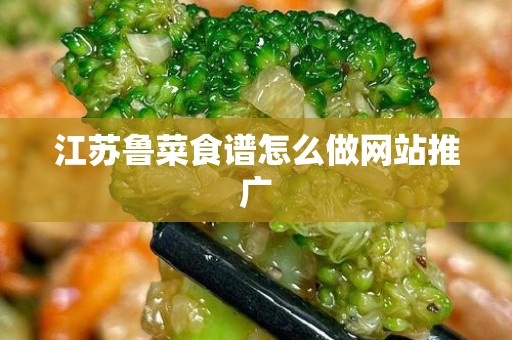 江苏鲁菜食谱怎么做网站推广