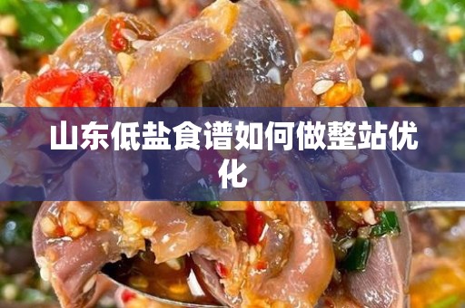 山东低盐食谱如何做整站优化