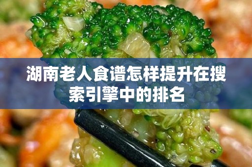 湖南老人食谱怎样提升在搜索引擎中的排名