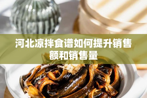 河北凉拌食谱如何提升销售额和销售量