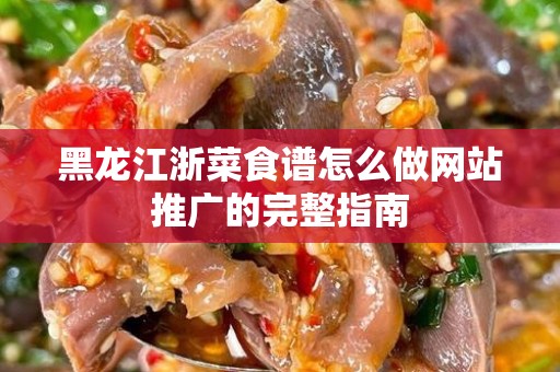 黑龙江浙菜食谱怎么做网站推广的完整指南