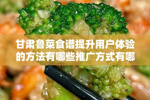 甘肃鲁菜食谱提升用户体验的方法有哪些推广方式有哪些