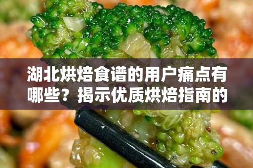 湖北烘焙食谱的用户痛点有哪些？揭示优质烘焙指南的重要性