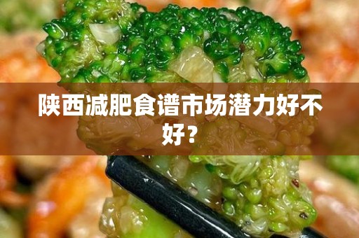 陕西减肥食谱市场潜力好不好？