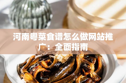 河南粤菜食谱怎么做网站推广：全面指南