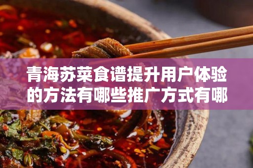 青海苏菜食谱提升用户体验的方法有哪些推广方式有哪些