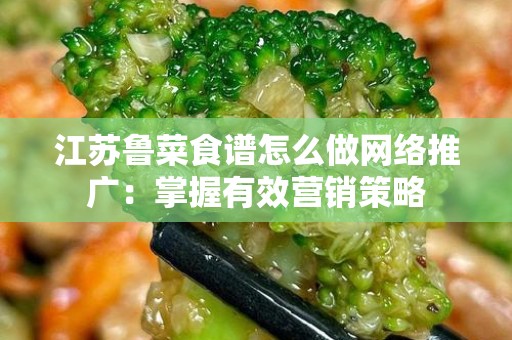 江苏鲁菜食谱怎么做网络推广：掌握有效营销策略