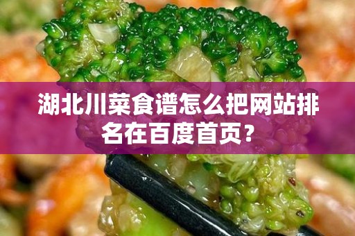 湖北川菜食谱怎么把网站排名在百度首页？