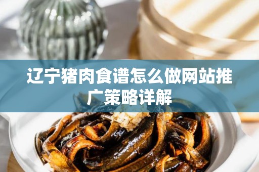 辽宁猪肉食谱怎么做网站推广策略详解