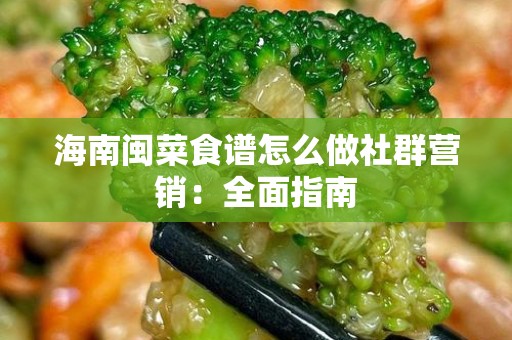 海南闽菜食谱怎么做社群营销：全面指南