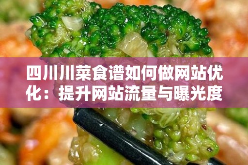 四川川菜食谱如何做网站优化：提升网站流量与曝光度的实用指南