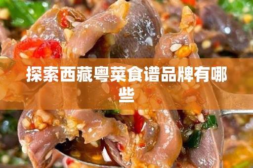 探索西藏粤菜食谱品牌有哪些
