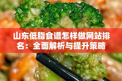 山东低脂食谱怎样做网站排名：全面解析与提升策略
