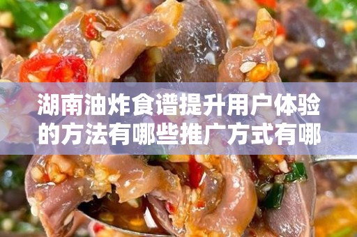 湖南油炸食谱提升用户体验的方法有哪些推广方式有哪些