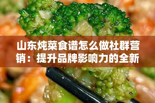 山东炖菜食谱怎么做社群营销：提升品牌影响力的全新策略