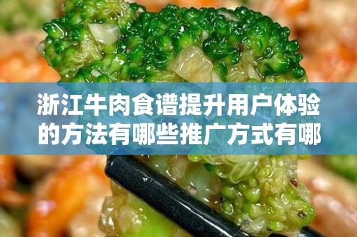 浙江牛肉食谱提升用户体验的方法有哪些推广方式有哪些？