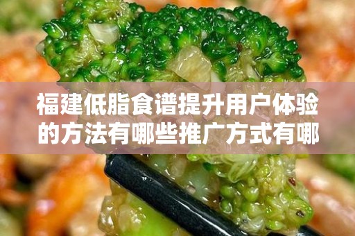 福建低脂食谱提升用户体验的方法有哪些推广方式有哪些