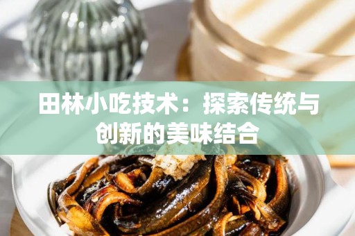 田林小吃技术：探索传统与创新的美味结合