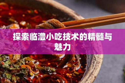 探索临澧小吃技术的精髓与魅力