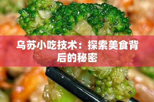 乌苏小吃技术：探索美食背后的秘密