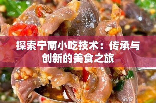 探索宁南小吃技术：传承与创新的美食之旅