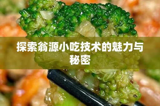 探索翁源小吃技术的魅力与秘密
