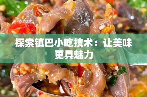 探索镇巴小吃技术：让美味更具魅力