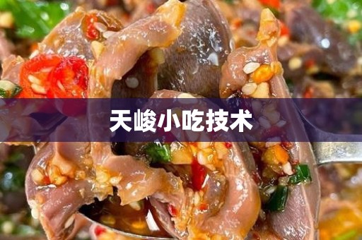 天峻小吃技术