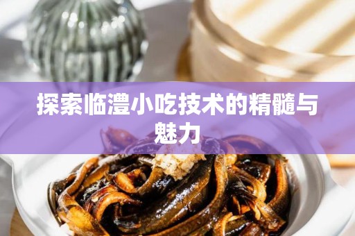 探索临澧小吃技术的精髓与魅力