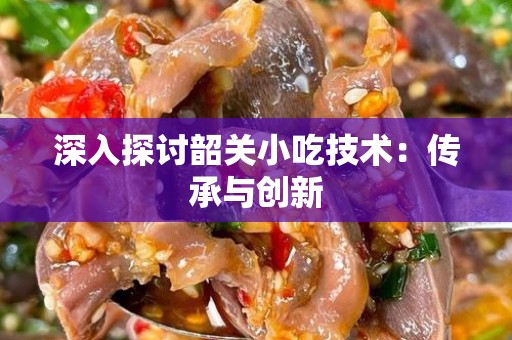 深入探讨韶关小吃技术：传承与创新