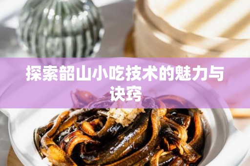探索韶山小吃技术的魅力与诀窍