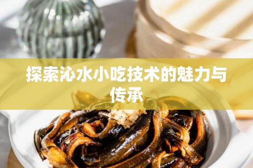 探索沁水小吃技术的魅力与传承