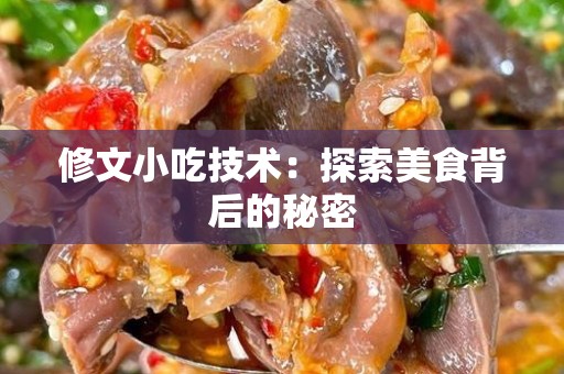 修文小吃技术：探索美食背后的秘密