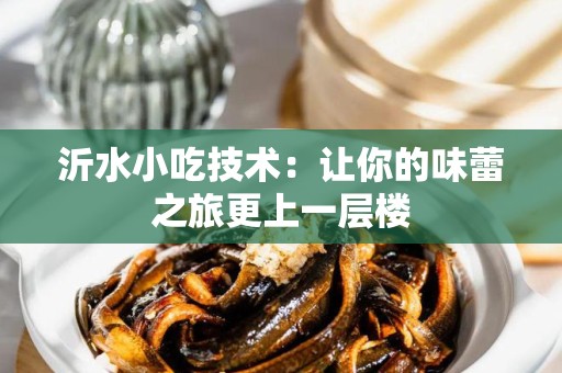 沂水小吃技术：让你的味蕾之旅更上一层楼
