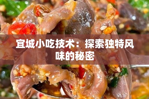 宜城小吃技术：探索独特风味的秘密