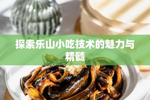 探索乐山小吃技术的魅力与精髓