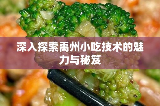 深入探索禹州小吃技术的魅力与秘笈
