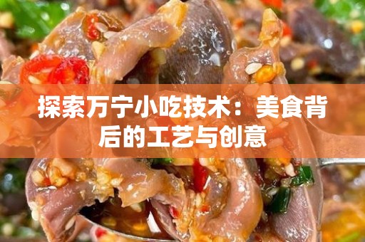 探索万宁小吃技术：美食背后的工艺与创意