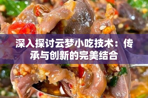 深入探讨云梦小吃技术：传承与创新的完美结合
