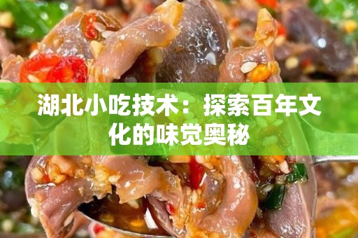 湖北小吃技术：探索百年文化的味觉奥秘