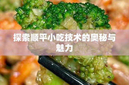 探索顺平小吃技术的奥秘与魅力